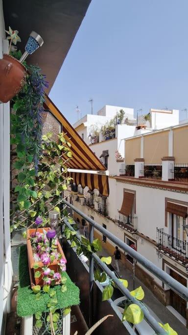Luminoso Apartamento Centro Triana Apartment Sevilla Bagian luar foto